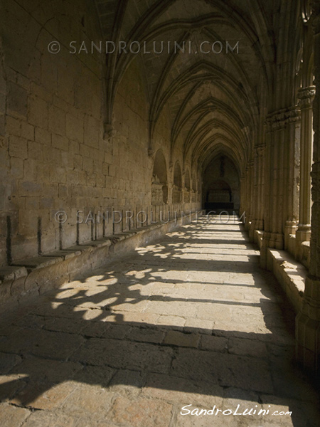 La route du Cistercien, 