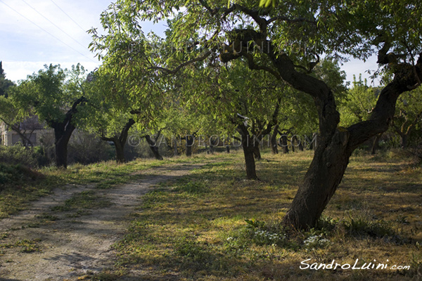 The Cistercian route, 