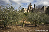 <b>TCR1003</b><br>Europe, Spain, Monastery, Santes Creus
