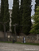 <b>TCR1034</b><br>Europe, Spain, Monastery, Santa Maria de Poblet