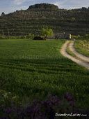 <b>TCR1063</b><br>Europe, Spain, The Cistercian route