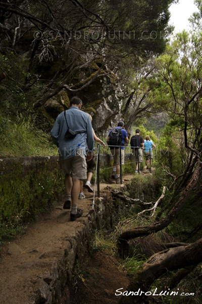 Trekking on Madeira, 