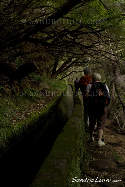 Trekking on Madeira, 