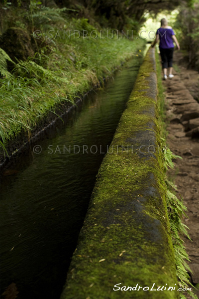 Trekking a Madeira, 