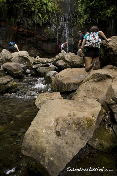 Trekking on Madeira, 