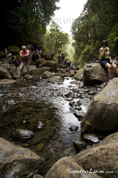 Trekking a Madeira, 