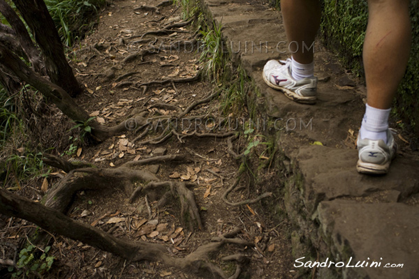 Trekking a Madeira, 