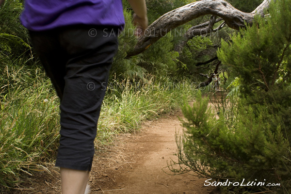 Trekking on Madeira, 