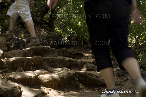 Trekking on Madeira, 