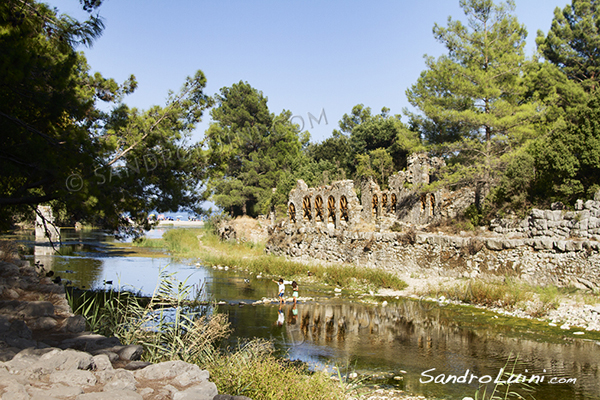 Turchia,
