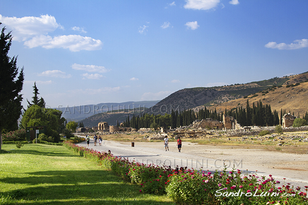 Turchia,