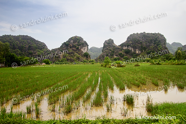 Vietnam, 