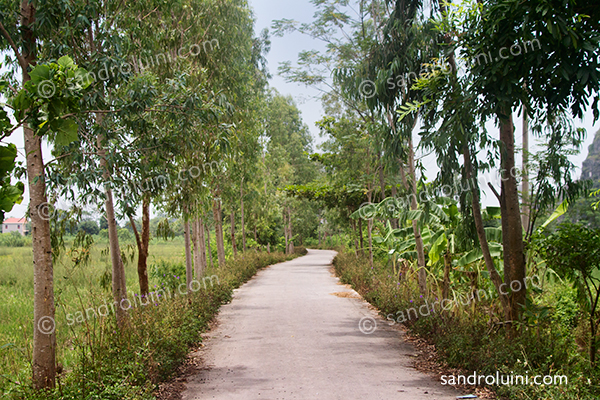 Vietnam, 