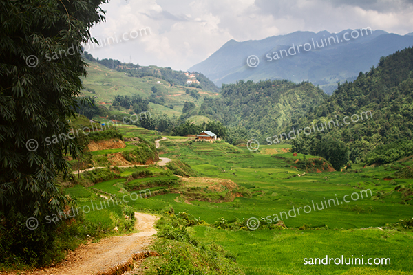 Vietnam, 