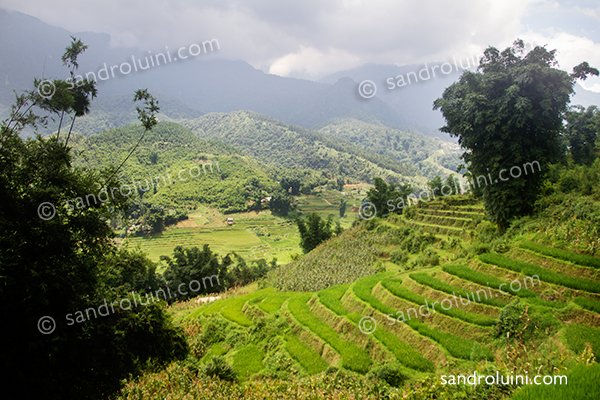 Vietnam, 