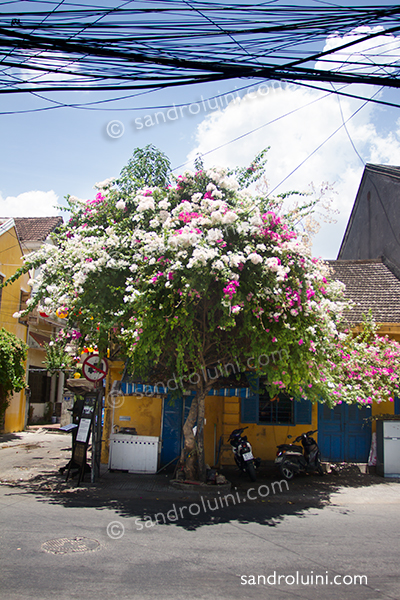 Vietnam,