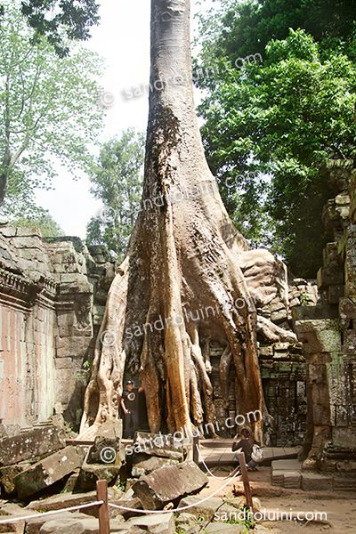 Cambodge, 