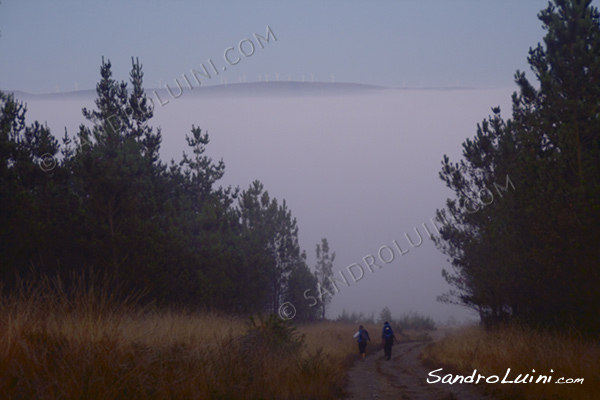 Camino de Santiago, 