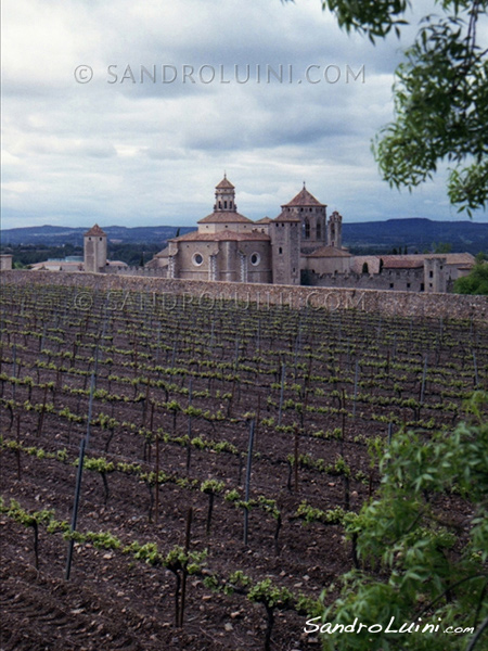 La ruta del Cister, 