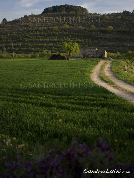 La ruta del Cister, 
