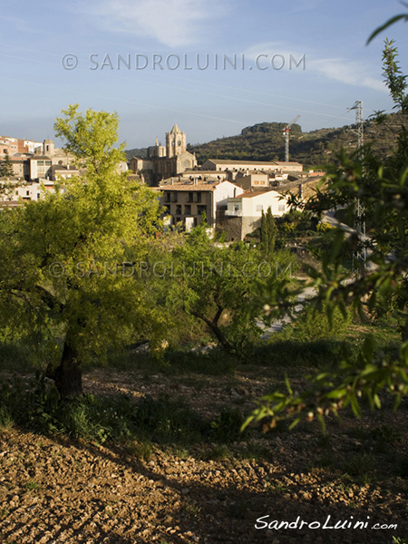 La ruta del Cister, 